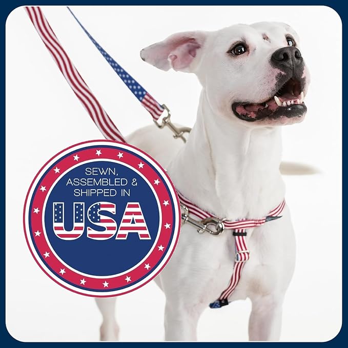 2 Hounds Design Freedom No Pull Dog Harness, Adjustable Harness and Leash Set, Easy Walking & Comfortable Control, Fits Small, Medium & Large Dogs, Solid Colors, Made in USA, 1" LG, Teal