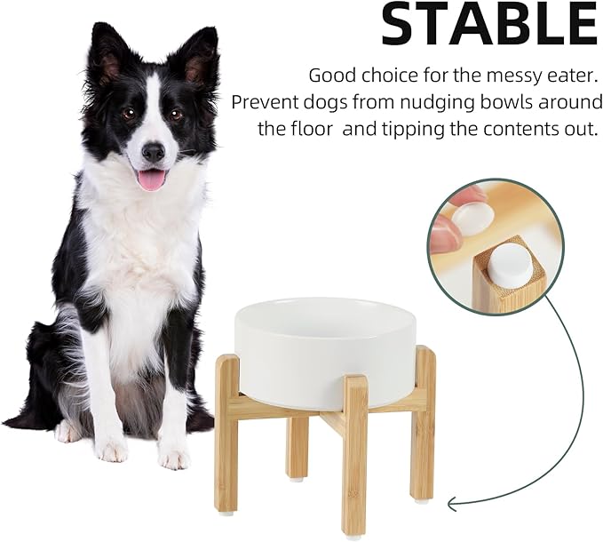 Ceramic Raised Dog Bowl Set, Elevated