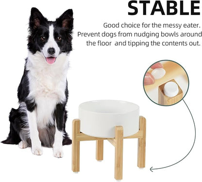 Ceramic Raised Dog Bowl Set, Elevated