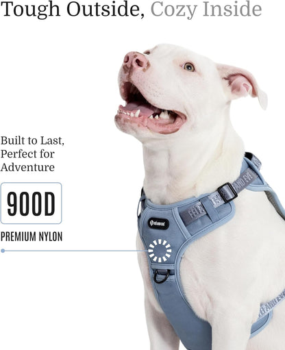 2025 New Edition, Fei & Eve MagEase Dog Harness - 3-Second Magnetic Buckles | 3-Point No-Pull Control | Heavy-Duty 900D Nylon | Dual Safety Handles | Breathable Mesh | Adjustable Fit | Medium, Blue