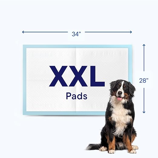 Puppy Pads XL 28x34 [100-COUNT] Dog Pads Extra Large 28" x 34" Leak-Proof Dog Pee Pads - Quick-Dry Puppy Pee Pads Pet Potty Training - Heavy Duty Super Absorbent Wee Wee Pads for Dogs Bulk -100 Pack
