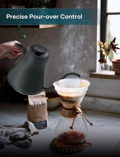 Gooseneck Electric Kettle with ±1℉ Temperature Control