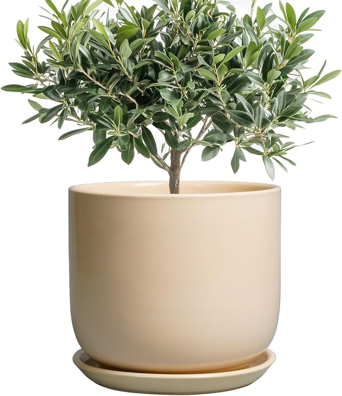 Ceramic Planter - Round Modern 8 Inch Plant Pot with Drainage Hole and Saucer for Flowers Herb, Home House Office Room Apartment Decor, Yellow