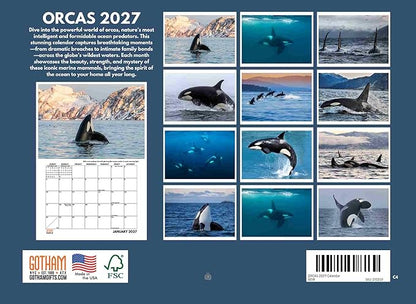 Orca Calendar 2027 Killer Whale Monthly Wall Calender 12 Month