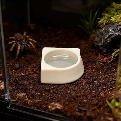1 Pack Spider Micro Water Bowl Mini Tarantula Water Dish for Millipede Spiders Gecko Lizard Tiny Reptile Jumping Spider Enclosure Accessories (Small: 2.48" D) Cream White