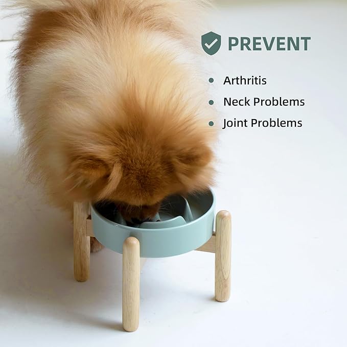 Ceramic 0.9 Cup Raised Dog Slow Feeder Set, Elevated Bowl