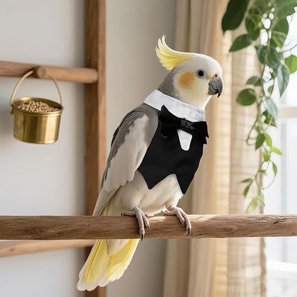 Bird Clothes, Parrot Tuxedo Costume, Flights Suits - Black Formal Outfit Bird Cosplay Photo Prop for Eclectus, Budgerigar, African Greys Parakeet, Conure, Cockatiel, Love Birds,L