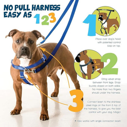 2 Hounds Design Freedom No Pull Dog Harness, Adjustable Harness and Leash Set, Easy Walking & Comfortable Control, Fits Small, Medium & Large Dogs, Solid Colors, Made in USA, 1" LG, Teal