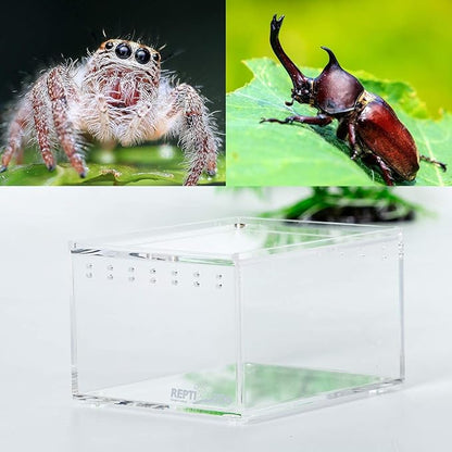 REPTI ZOO Magnetic Acrylic Case 4.1"x3.3"x2.5" Nano Enclosure Reptile Breeding Box Terrarium Cage Tank Tarantula Scorpion Sling Isopods Lizards Roach Invertebrates Insect Mantis