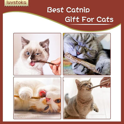 Silvervine Sticks for Cats, 30PCS Kitten Toys Catnip Toys Matatabi Silvervine Sticks Kitty Chew Toys Wooden Stick Kitten Teething Toys Molar Suitable for Cats of All Ages