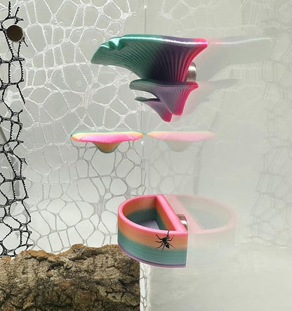 2 Pack Jumping Spider Accessories Mushroom Ledges & 1 Pack Water Bowl with Magnets for Spoods Jumping Spiders Magnetic Ledge Ladder Pet Spider Accessories (Not Included The Terrarium) (colorful)