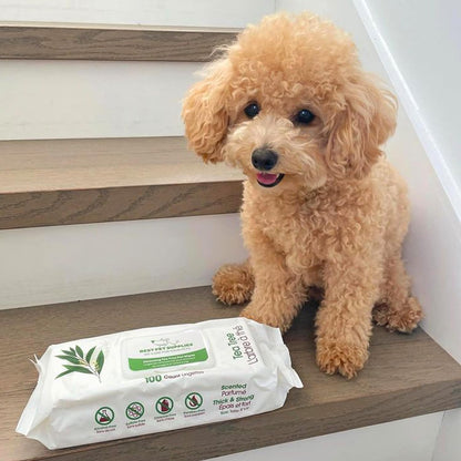 Best Pet Supplies Pet Grooming Wipes for Dogs & Cats,Deodorizer for Coats & Dry, Itchy, or Sensitive Skin, Clean Ears, Paws, Body, & Butt - Cleansing, Tea Tree, 400 Count