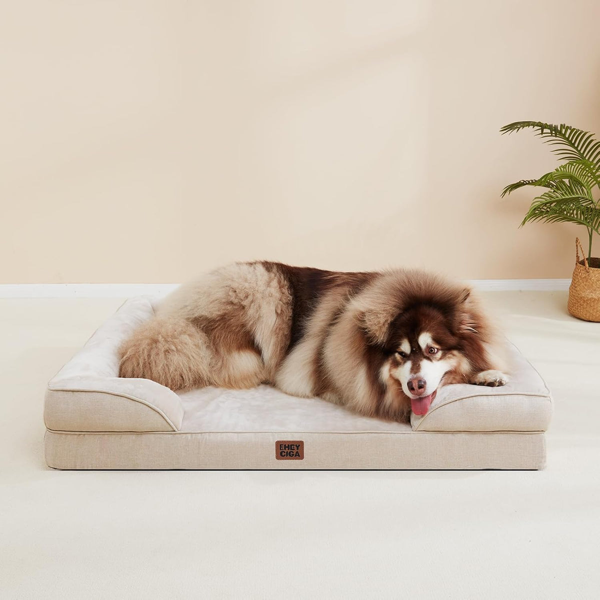 EHEYCIGA Orthopedic Dog Bed for Small Dogs, Waterproof Memory Foam Small Dog Beds with Sides, Non-Slip Bottom and Egg-Crate Foam Medium Pet Couch Bed with Washable Removable Cover, Beige