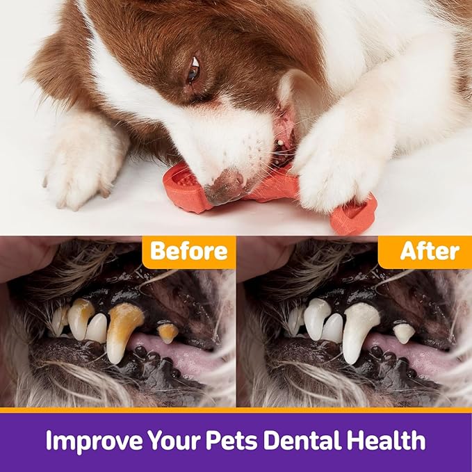 Dog Toys for Aggressive Chewers, 3 Pack Indestructible Dog Chew Toys, Super Chewer Toys with Tough Nylon Bacon Flavor for All Breed Sizes, Teeth Cleaning & Training, Boredom Relief