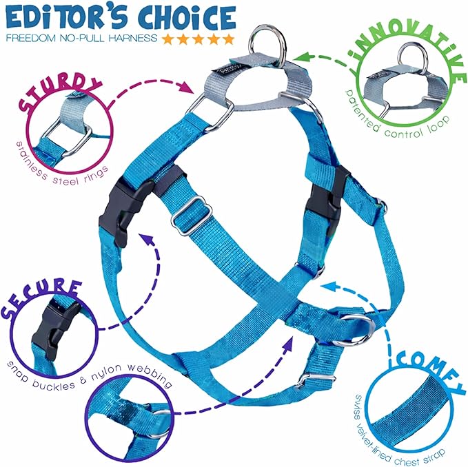 2 Hounds Design Freedom No Pull Dog Harness, Adjustable Harness, Easy Walking & Comfortable Control, Fits Small, Medium & Large Dogs, Solid Colors, Made in USA, 1" LG, Turquoise