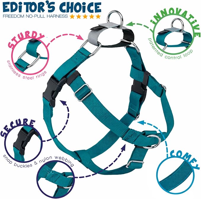 2 Hounds Design Freedom No Pull Dog Harness, Adjustable Harness and Leash Set, Easy Walking & Comfortable Control, Fits Small, Medium & Large Dogs, Solid Colors, Made in USA, 1" MD, Teal