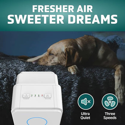 GermGuardian Air Purifier for Homes