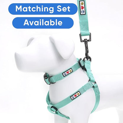 Pawtitas Personalized Dog Leash - Embroidered Customize Leash with Your Pet Name & Phone Number - 6 ft Long, Small, Teal, Custom Engraved Name