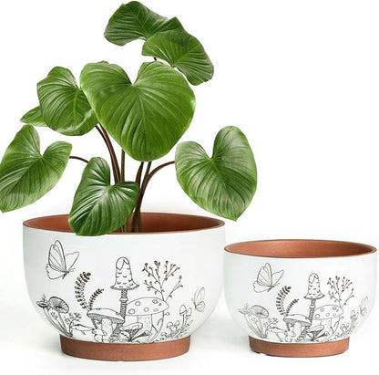 YBX 8 Inch & 6 Inch Terracotta Pots, Plant Pots, Flower Pots for Indoor Plants with Drainage, Planters with Mushroom Accent for Indoor Plants (Cottage)
