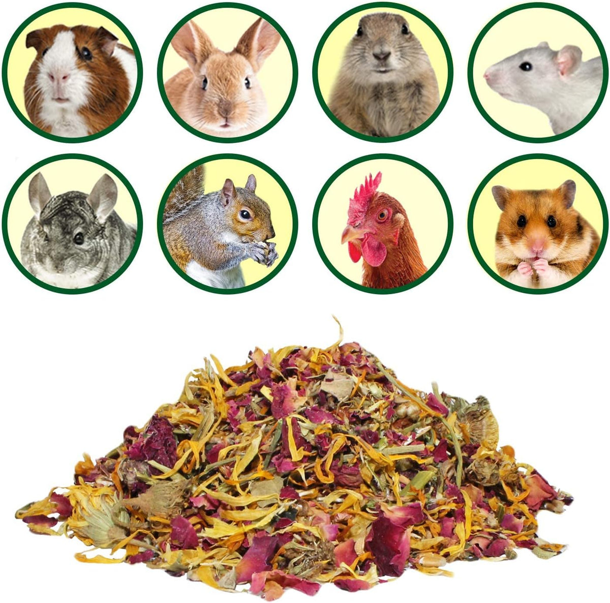Flower Fusion Treat - Healthy Natural Dried Flower Herbivore Treat - Chinchillas, Guinea Pigs, Rabbits, Prairie Dogs, Degus, Hamsters, Rats, Squirrels, Sugar Gliders & Other Small Pets (0.85 oz)