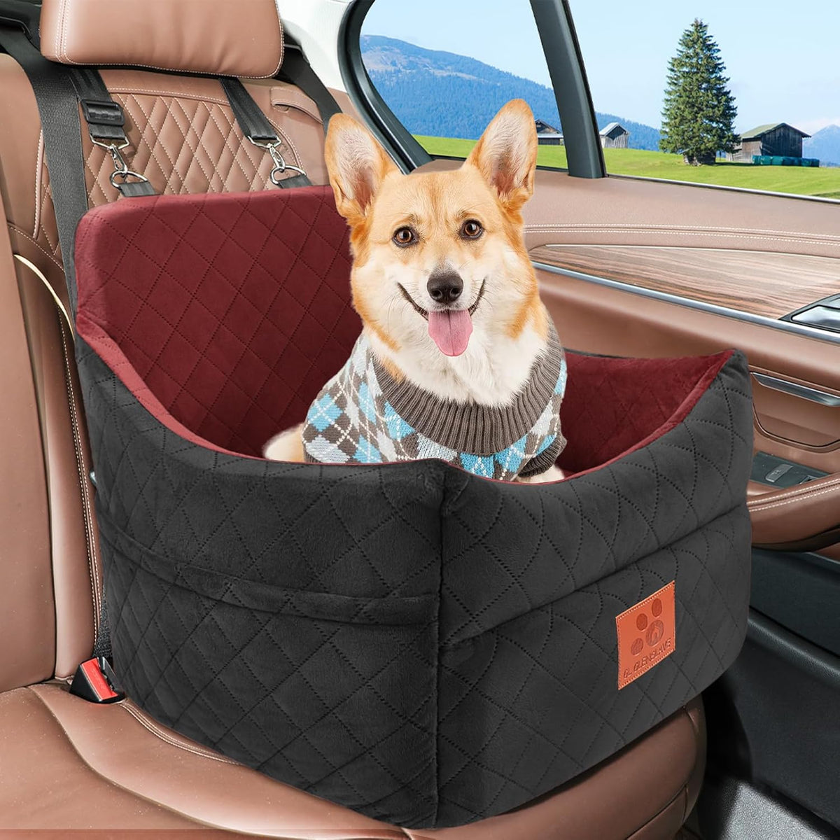 Dog Car Seat for Small/Medium Dogs, Dog Booster Car Seats with Thick Cushion for Dogs Under 35lbs, Detachable Washable Pet Car Seat with Storage Pockets, 2 Safety Belts(Black/Red)
