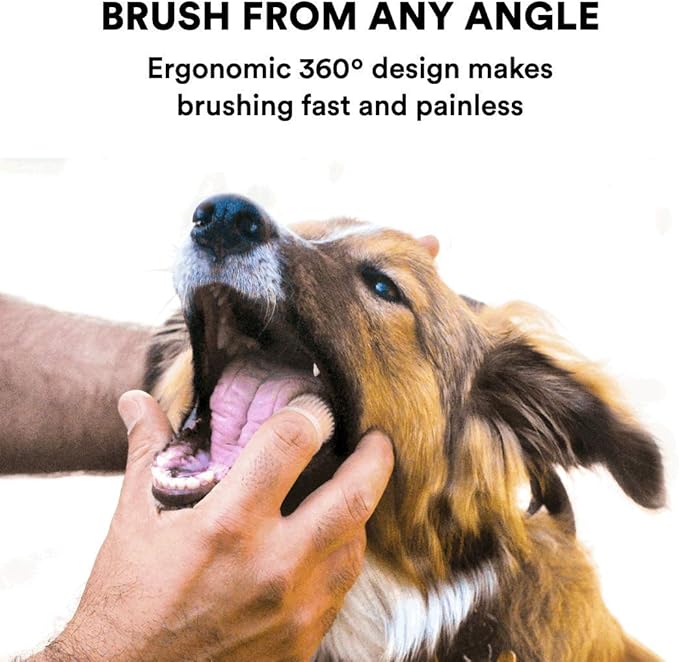 Jasper Dog Toothbrush, 360 Degree Dog Tooth Brushing Kit, Cat Toothbrush, Canine Dental Care & Teeth Cleaning Kit, Pet Finger Tooth Brush, Use with Pet Toothpaste, 2-Pack Clear