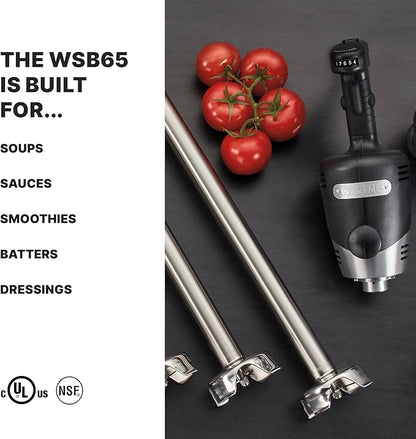 Waring Commercial Big Stix Heavy Duty Stick Immersion Hand Held Blender