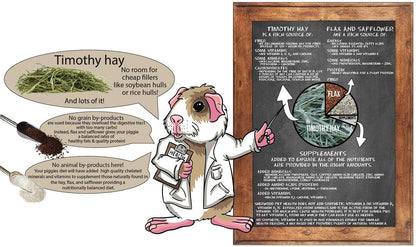 Sherwood Pet Health Adult Guinea Pig Food Measured Timothy Pellet (10 Pound) Hay-Based, Grain-Free, Soy-Free for Better Digestion