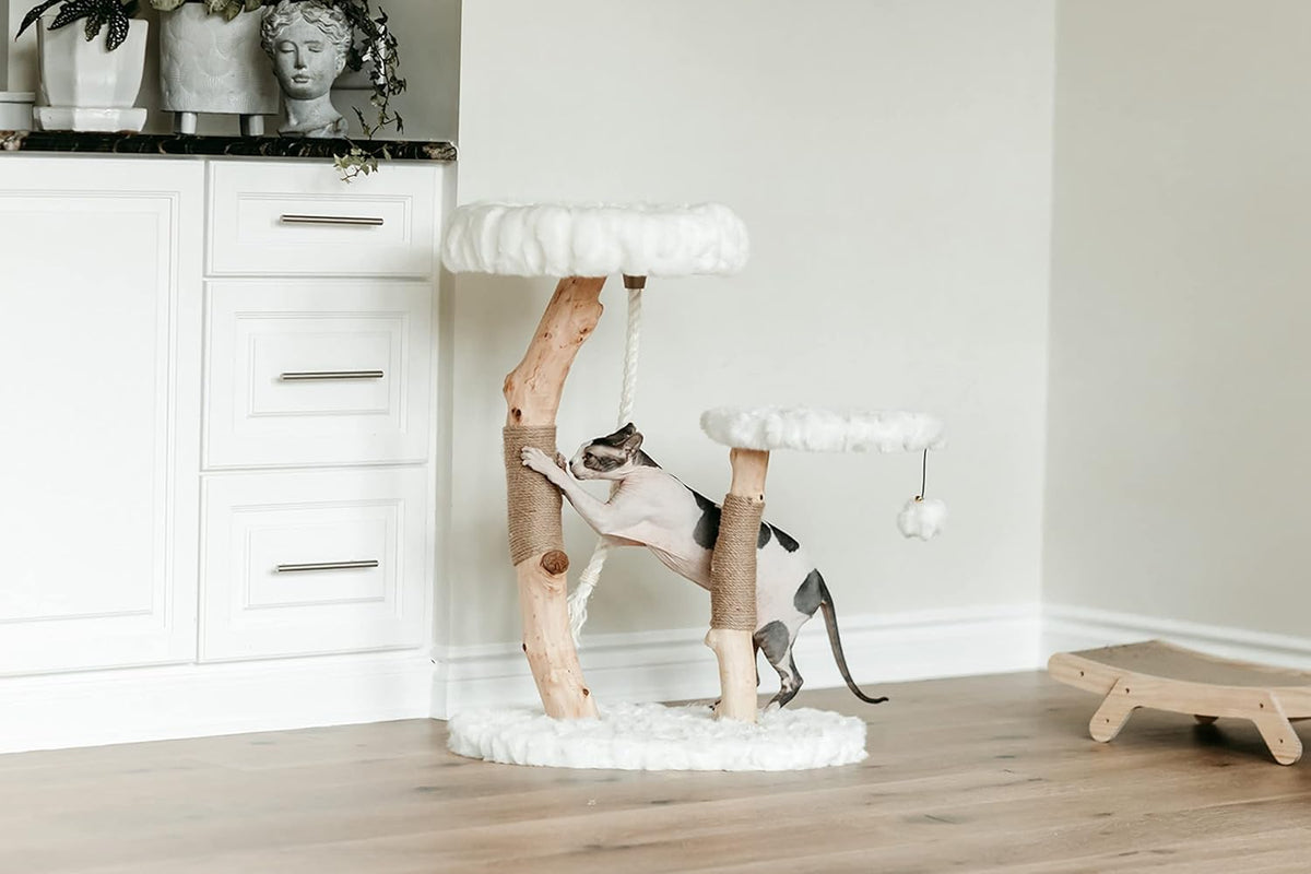 Mau Lifestyle Luxury Cat Tree: Modern Cat Condo & Luxury Wood Cat Tower; Natural Branch Scratching Tree & Cat Condo; Cat Gifts by Mau