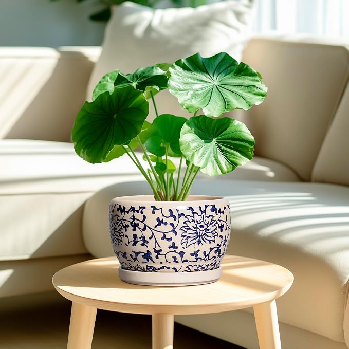 SQOWL Ceramic Planters for Indoor Plants - 8 inch Plant Pot with Drainage Hole and Saucer, Decorative Flower Pot Outdoor, Porcelain Round Planter, Living Room Decor, Gardening Gifts, Blue and Beige