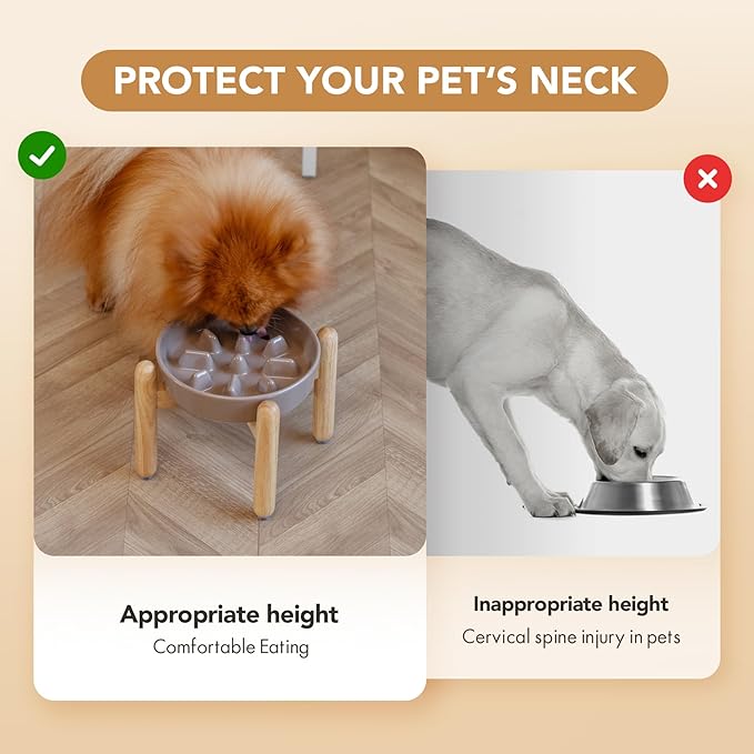 Ceramic 1.2 Cup Dog Raised Slow Feeder Set, Elevated Bowl