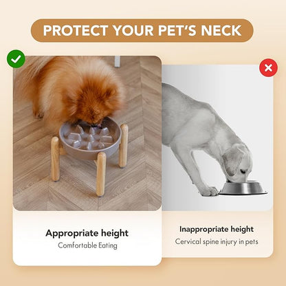 Ceramic 1.2 Cup Dog Raised Slow Feeder Set, Elevated Bowl