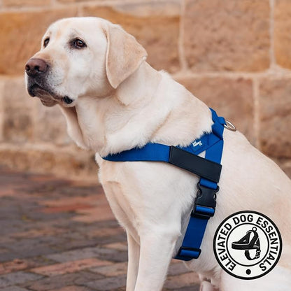 Dog Friendly Co. Dog Harness for Large Dogs (Classic Blue, Large) | One Click Buckle, Chafe Resistant Webbing, Adjustable Neck & Chest, and Heavy Duty D-Ring, Sturdy Comfortable and Easy to Use