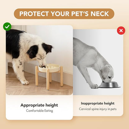 Ceramic 1.6 Cup Dog Raised Slow Feeder Set, Elevated Bowl