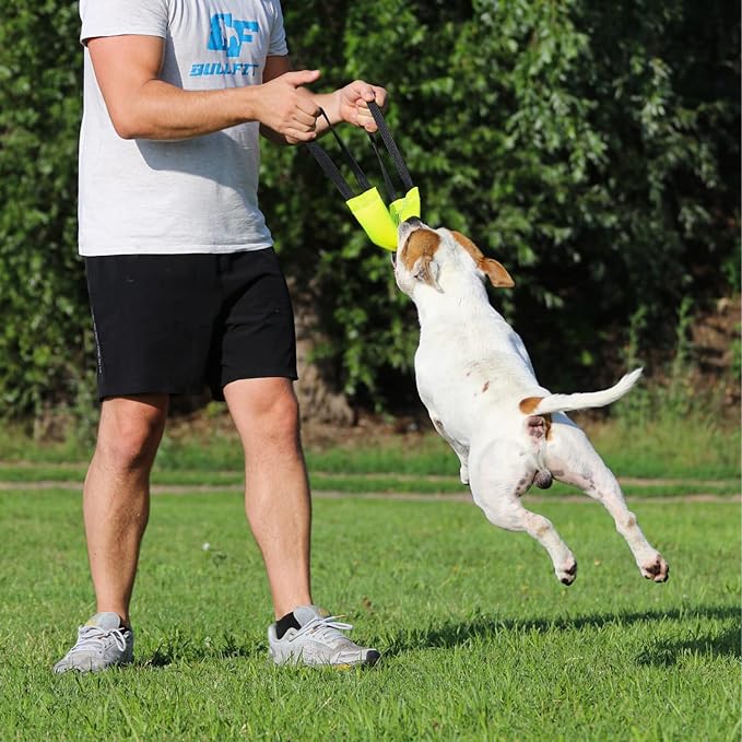 Bungee Dog Bite Tug Toy with 2 Strong Handles - Made of Durable & Tear-Resistant Fire Hose - Perfect for Tug of War, Fetch & Puppy K9 Training - Ideal Pull Toy for Medium to Large Dogs, Yellow