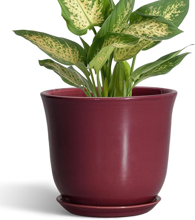 Ceramic Pots for Plants - 5.6 Inch Plant Pot for Indoor Outdoor, Round Succulent Orchid Pot with Drainage Hole and Saucer, Modern Small Planter, Window Office Desk Decor, Teacher Gifts, Red