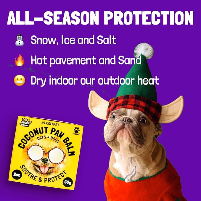 Coconut Paw Balm for Dogs by legitpet