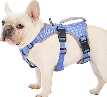 Escape Proof Dog Harness, Dachshund Harness, Reflective Dog Harness with Handle, Durable,Adjustable Vest for Small Medium Large Dogs Walking, Training, and Running Gear (Technicolor Blue,L)