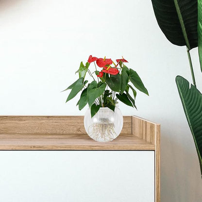 Beaupretty Plastic Betta Fish Bowl with Hydroponic Planter, Round Small Plastic Aquarium Terrarium Bowl for Desktop, Mid-Size 110c Fish Tank for Living Room Decor
