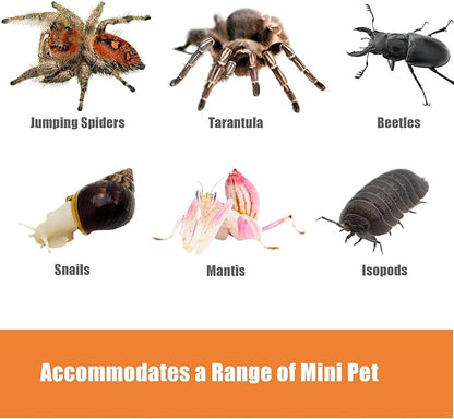 Acrylic Jumping Spider Enclosure Large 6”x6”x10” with Front Door, Arboreal Tarantula Enclosure, Praying Mantis Habitat for Spider, Mantis, Snail, Tarantula, Isopods, Beetles, Millipedes