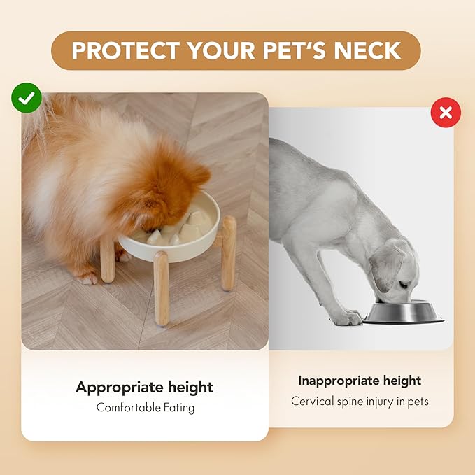 Ceramic 1.2 Cup Dog Raised Slow Feeder Set, Elevated Bowl