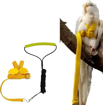 Pet Parrot Bird Harness Leash Adjustable Bird Flying Harness Traction Rope with Cute Wing for Parrots Pigeons Budgerigar Lovebird Cockatiel Mynah Outdoor Training Toy (XL, Yellow)