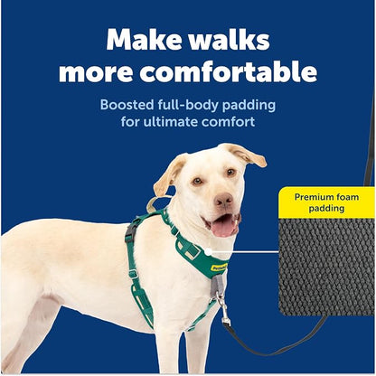 PetSafe Easy Walk Comfort No Pull Dog Harness, Green, Large | Stops Pulling on First Use with Front Martingale Loop, Full-Body Padding, 5-Point Adjustable Fit