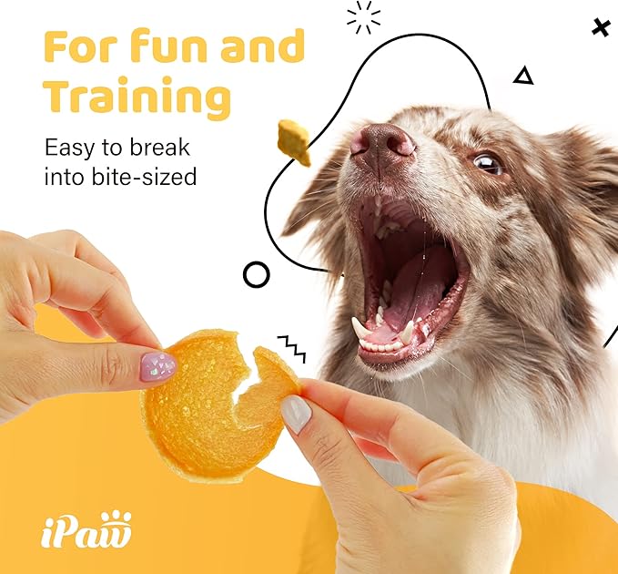 iPaw Turkey Chips Dog Treats for Puppy Training, All Natural Human Grade Dog Treat, US Sourced Raw Material, Hypoallergenic, Easy to Digest (Turkey Chips)