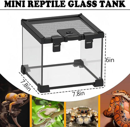 BNOSDM Reptile Tank,8" x 8" x 6" Mini Reptiles Terrarium,Full View Young Lizard Glass Tank,Small Amphibians Habitat Enclosure Cage for Tarantula,Frog,Hermit Crab,Isopods,Insects Breeding Box