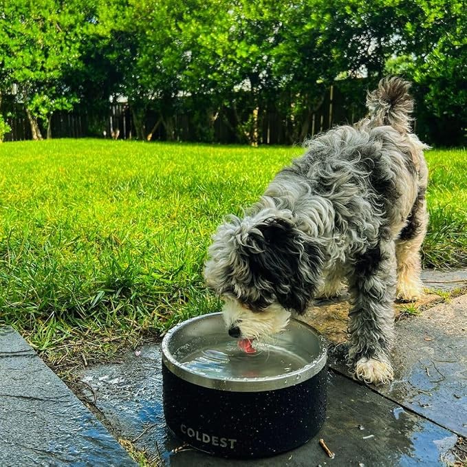 Coldest Dog Bowl - Anti Rust Metal, Non Slip, 3 Layers Insulated Stainless Steel Dog Bowls - Spill Proof & Heavy Duty - Water Bowl for Dogs, Cats & Pets, Dish Washer Safe (200 oz, Stealth Black)
