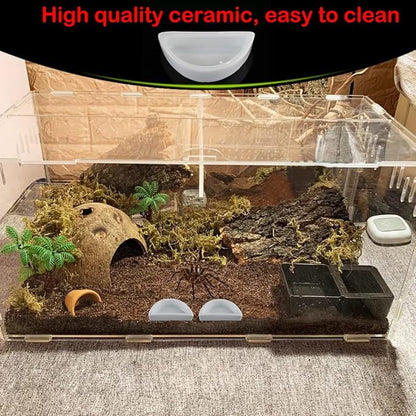 6 Pcs Spider Micro Water Bowl Hermit Crab Mini Ceramic Dish for Spider Hermit Crab Tarantula Millipede (Semicircle Shape)