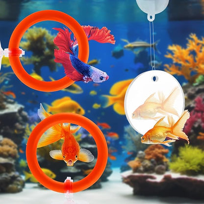 2pcs Bettas Fish Enrichment Toys Ring, with Mirror/Floating Ball, Exercise Floating Mirrors and Training Ring for Fish Tank, Aquarium Feeding Rings Accessories (Orange)