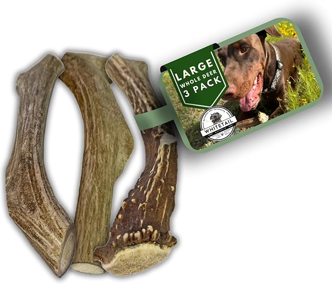 WhiteTail Naturals (3 Pack Deer Antlers for Large Dogs, Antler Dog Chews - Crafted in USA Dog Antler - Long Lasting Bone for Aggressive Chewers