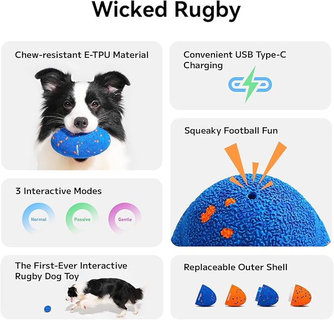 Cheerble Wicked Rugby (Blue Shell)